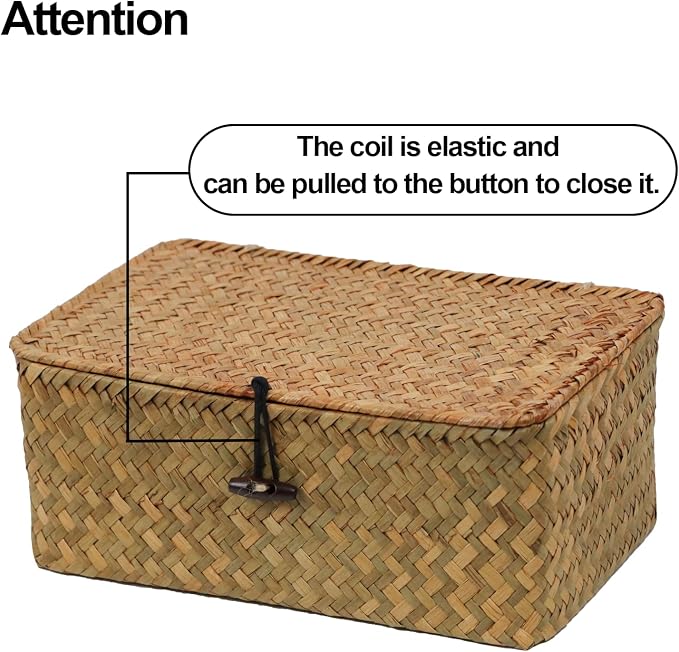 Wicker Storage Basket with Lid, Seagrass Storage Baskets for Organizing | Rectangular Woven Basket for Storage, Decorative Boxes Bins with Lid Home Organizer Decor, Small Storage Box, Shelf Organizer