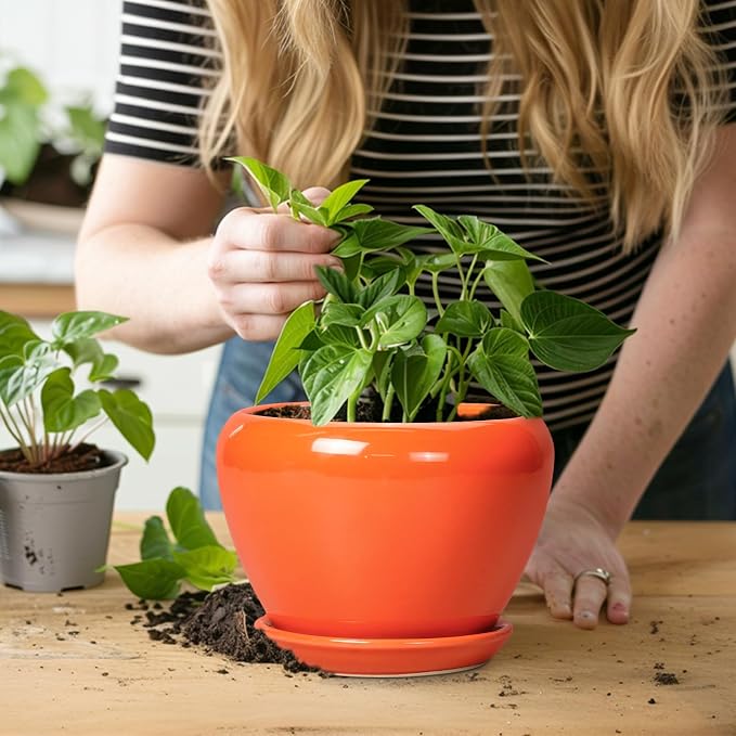 Ceramicfor Ceramic Plant Pot 6 Inch - Ceramic Planter for Indoor Plants Outdoor, Glaze Round Modern Flower Pot with Drainage Hole and Saucer, Gift for Plant Lover, Home Garden Room Decor, Orange