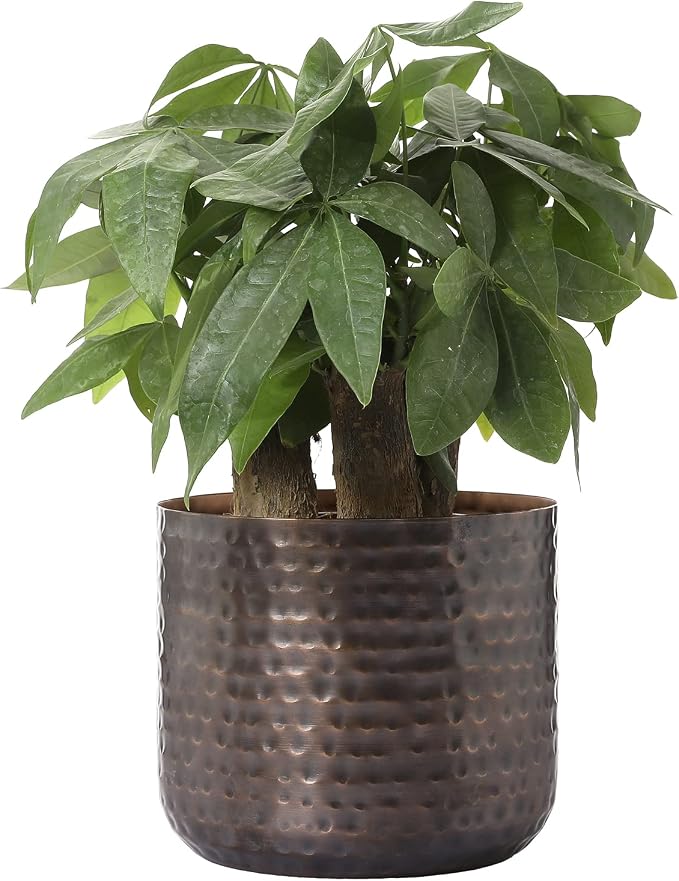 MyGift 6 Inch Copper Metal Vase, Hammered Flower Pot, Handcrafted | Elegant hammered finish brings artisan character to floral arrangements, succulents, and tabletop decorative displays