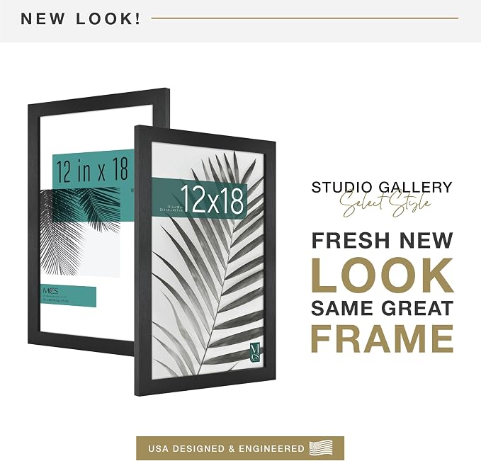 MCS Studio Gallery 12x18 Picture Frame Black Woodgrain Engineered Wood, Rectangle Photo Frame for Photos, Posters & Art Prints (2-Pack)