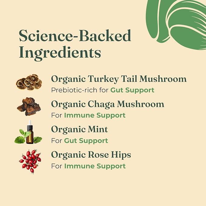 Four Sigmatic Gut Health Mushroom Elixir | Coffee Alternative with Organic Turkey Tail, Organic Chaga Mushroom Powder, Rose Hips & Mint | Digestive Support & Immune Support | 20 Packets