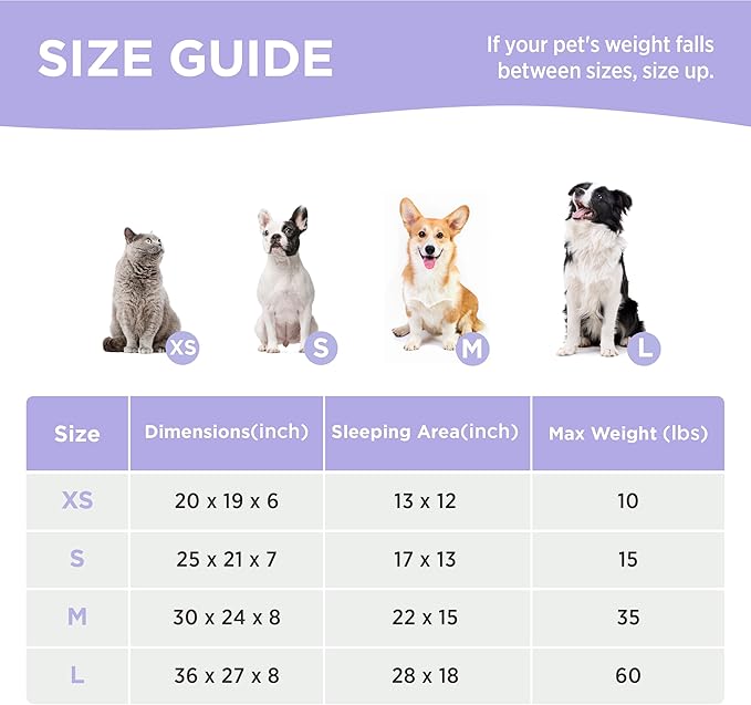 Lesure Cute Dog Bed for Small Dogs - Washable Puppy Beds,Cozy Rectangle Orthopedic Pet Sofa with Jacquard Shaggy Plush & Anti Slip Bottom,25x21x7inches