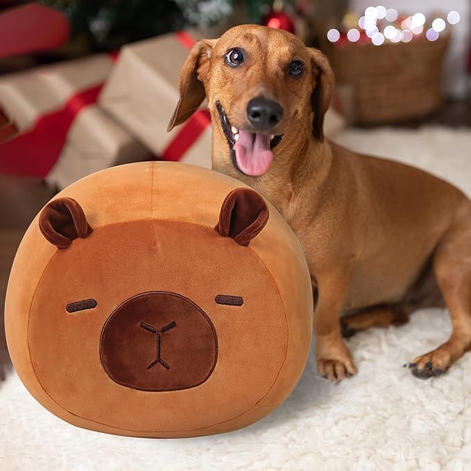 Wepop 20in Capybara Stuffed Animal, Cute Capybara Plush, Cuddle Stuffed Plushies Pillows Gifts for Kids Adults Boys and Girls