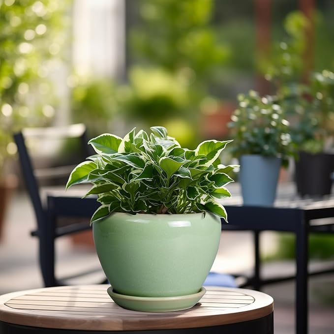 Ceramicfor 6 Inch Plant Pot - Ceramic Planter for Indoor Plants Round Planter Outdoor Plant Pot with Drainage Hole and Saucer Modern Flower Pot for Succulent Garden Green