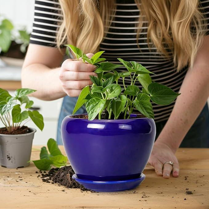 Ceramicfor 6 Inch Plant Pot - Ceramic Pots for Plants Succulent Pot with Drainage Hole and Saucer Round Planter Outdoor Flower Pot for Herb Snake Plants Blue