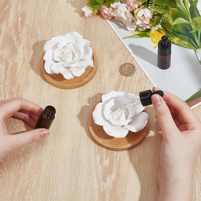INFUNLY 2 Pcs Rose Essential Oil Diffuser Stone Plaster Scent Diffuser with Round Base 2 Style Roses Diffuser Stone Kit 3.7x3.7 Insertable Reed Rose Aromatherapy Stone for Desk Office Home Gift