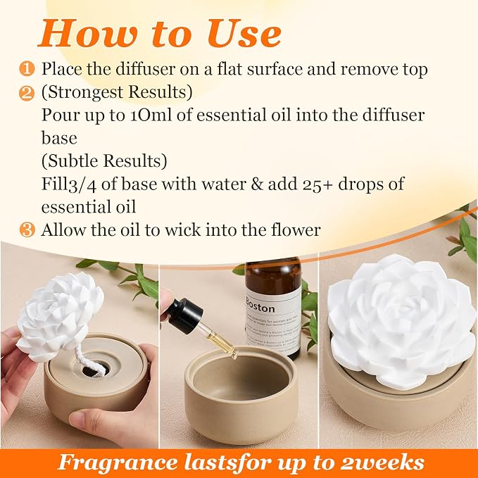 Honeydak 2 Pcs Ceramic Essential Oil Diffuser, Non Electric Reedless Passive Porcelain Flower Aromatherapy Diffuser, Decorative Floral Design Tabletop Office Home Bathroom Decor (Succulent)