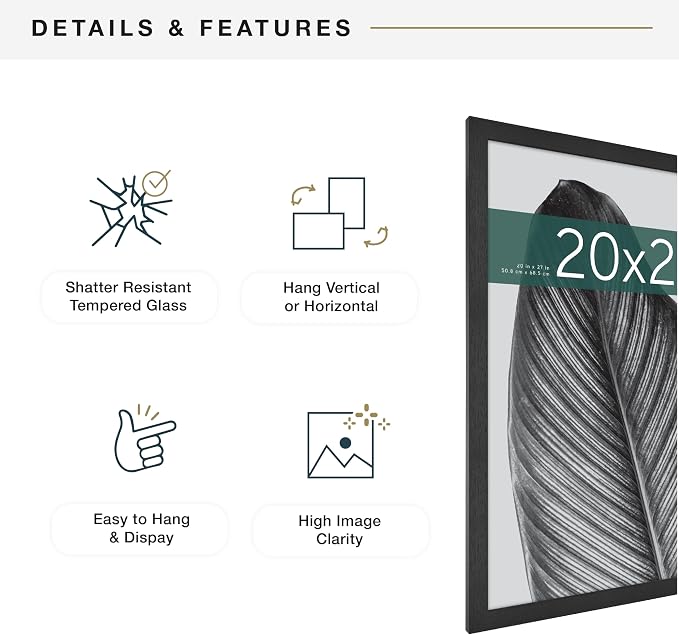MCS Studio Gallery 20x27 Poster Frame Black Woodgrain Engineered Wood, Vertical & Horizontal Wall Hanging Large Picture Frame for Photos, Posters & Art Prints (2-Pack)