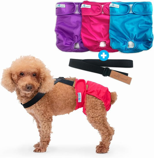 Paw Inspired Reusable Dog Diapers Bundle, Small, 3-Pack with Suspenders | Washable Diapers in Assorted Colors with White Lining Combo Pack with Black Suspenders