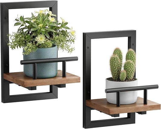Sbosbo Floating Shelves for Wall Plant Shelf Indoor Wall Mounted Shelves | Wall Planters for Indoor Floating Plant Shelves for Bedroom, Living Room, Kitchen, Office, Bathroom Decor (2 Pack)