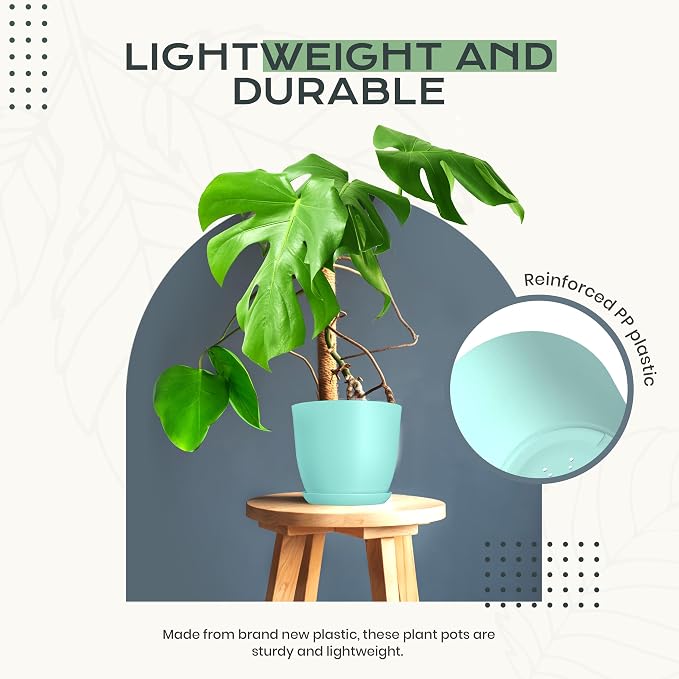 Plant Pots Indoor with Drainage, 10 Pack Multi-Size Planters Set, Aqua | Drainage holes included Multiple sizes 7/6.6/6/5.3/4.8 In Indoor plants and flowers Durable plastic construction