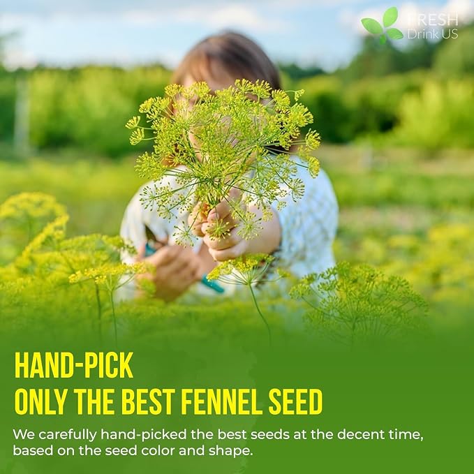 FreshDrinkUS, Premium 75 Fennel Seed Tea Bags – 100% Natural & Pure, Handmade Herbal Tea, Eco-Friendly, Fresh Aroma, Made with Natural Material Tea Bags. No Sugar, No Caffeine, No Gluten, Vegan.