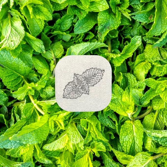 AROMA STICKERS® (Spearmint, Pack of 3) - 100% Natural Essential Oil Scented - Sticker Diffuser for Personal Space - Face Mask & Pillow - Refreshing & Focus (Pack of 3, 36 Stickers in Total)