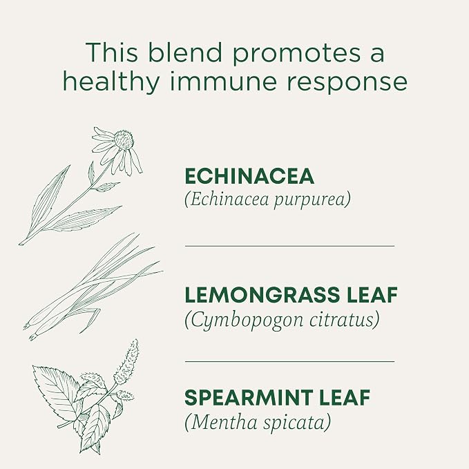 Traditional Medicinals Tea, Organic Echinacea Plus, Promotes Immune Function, w/Spearmint, 16 Tea Bags (Pack of 2)