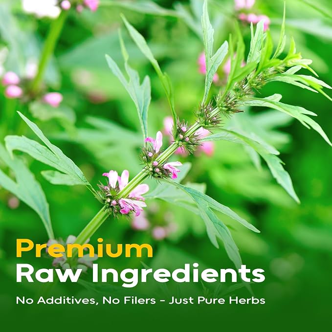 FullChea - Motherwort Tea Bags, 40 Count, Dried Motherwort Herb | Premium motherwort herbal tea, non-GMO, caffeine-free, perfect for a calming natural wellness tea break