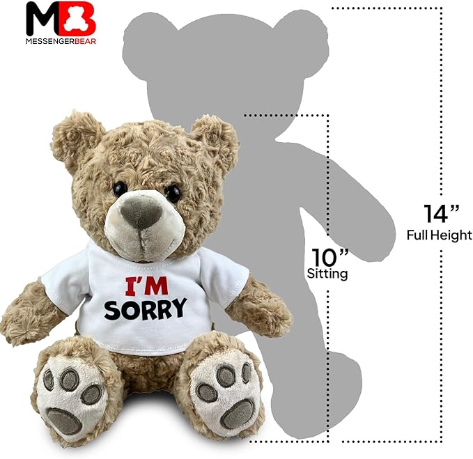 I’m Sorry Teddy Bear 10” Sitting | I Love You Im Sorry Plushie | Im Sorry Gifts for Her Stuffed Animal