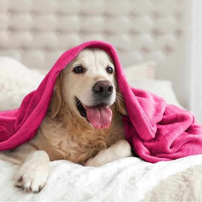 BEDELITE Fleece Blanket Soft Plush King Size Bed Blanket Hot Pink 108"x90" | Ultra Soft Fleece, Plush Microfiber, Lightweight Warmth, All Season Comfort, Fade Resistant, Machine Washable