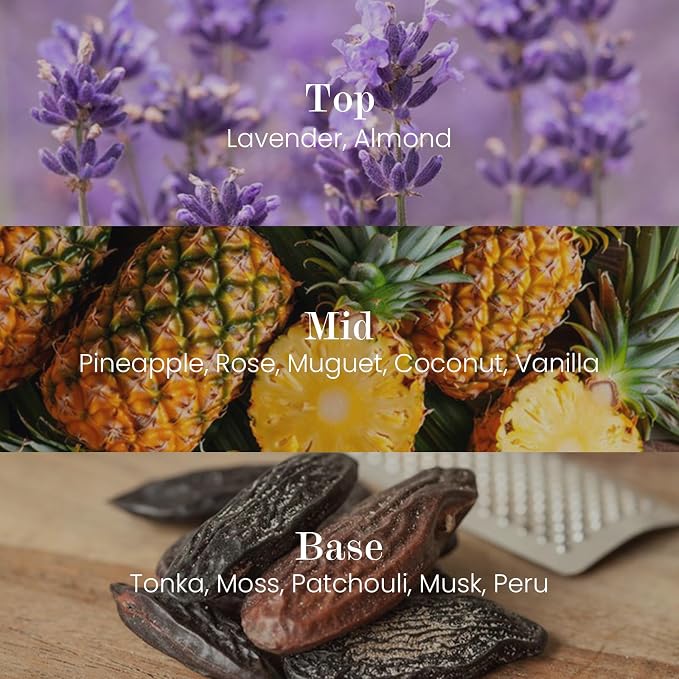 M&SENSE Natural Soy Candle| Lavender Vanilla | 5.3 oz | Mini Spring Scented Candles for Relaxation, Meditation, Home Décor | for Bedroom, Office, Party Small