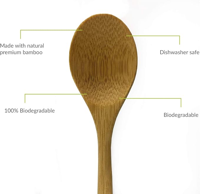 JapanBargain, 10-Piece Bamboo Dinner Spoons Set, 8-Inch Reusable Wooden Spoons for Kids, Appetizer, Dessert, Ice Cream, Yogurt, Fruit, Snack, Condiment, Eco-Friendly Flatware for Family Use