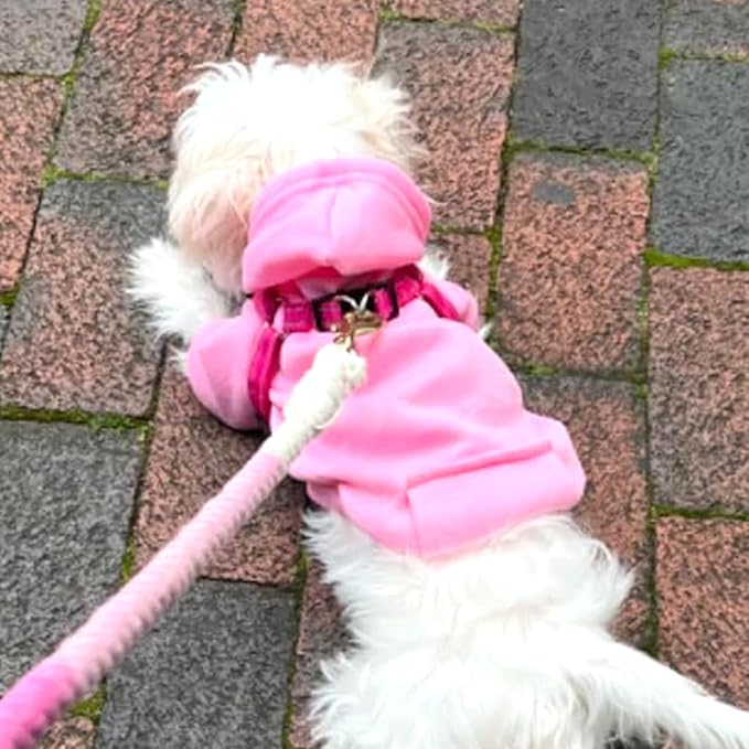 Jecikelon Winter Dog Hoodie Sweatshirts with Pockets Warm Dog Clothes for Small Dogs Chihuahua Coat Clothing Puppy Cat Custume (Pink, Medium)