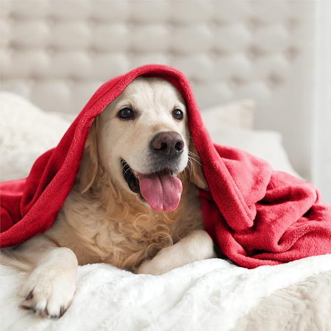 BEDELITE Fleece Blankets Queen Size Red Throw Blankets for Bed, Luxury Plush Cozy Fuzzy Blanket 90x90 inches, Super Soft Warm Lightweight Throw Blanket All Seasons Suitable | Ultra Soft Fleece, Plush Microfiber, Lightweight Warmth, All Season Comfort, ...