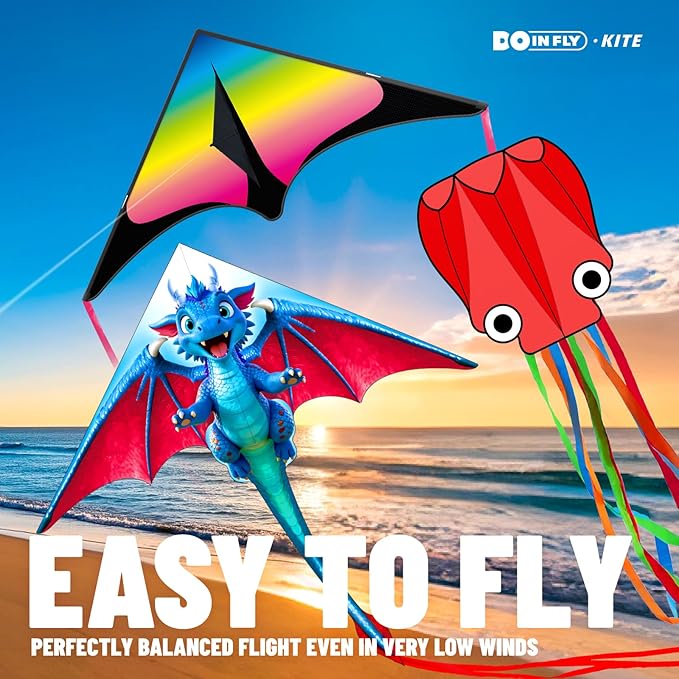 Kite for Ages 8-12, Easy to Fly and Assemble Rocket Kites for Beginner, Single Line String Professional Kites for Beach and Outdoor Activity