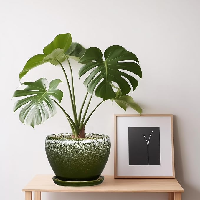 Ceramicfor 6 Inch Plant Pot - Ceramic Planter Pot with Drainage Hole and Saucer, Glaze Succulent Pot Modern Round Flower Pot for Indoor Plants, Dark Green