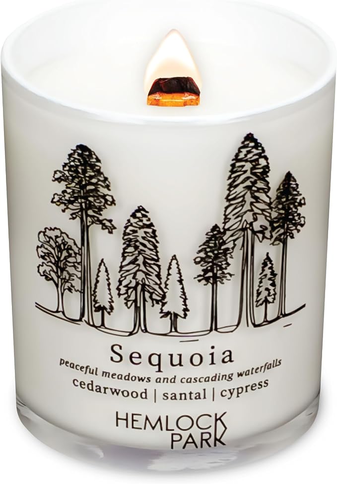 Hemlock Park Sequoia Postcards Scented Candle | Crackling Wood Wick, Botanical Fragrance & Coconut Apricot Wax | Up to 50 Hour Burn Time | 7.2 oz | Made in USA