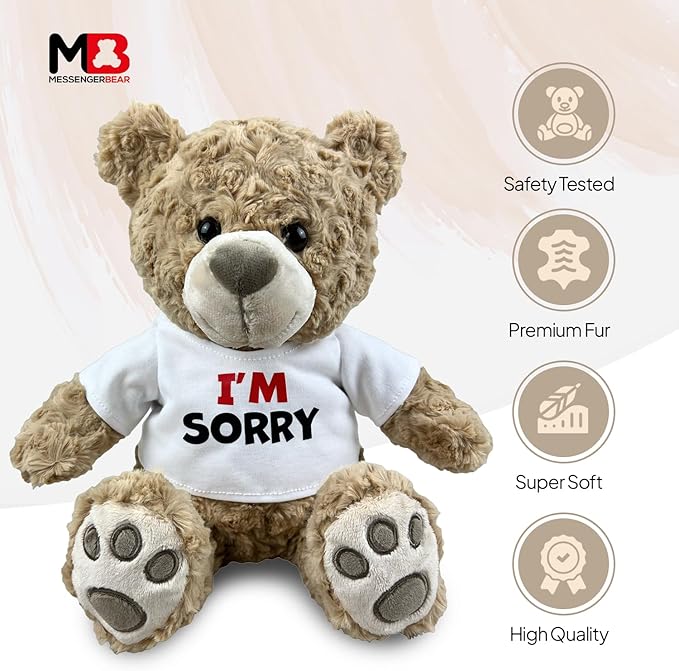 I’m Sorry Teddy Bear 10” Sitting | I Love You Im Sorry Plushie | Im Sorry Gifts for Her Stuffed Animal