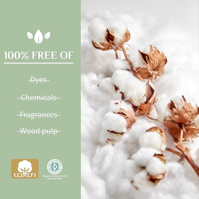 Organyc 100% Certified Organic Cotton Feminine Pads, Sanitary Napkin, Heavy Flow, 10 Count (Pack of 2)