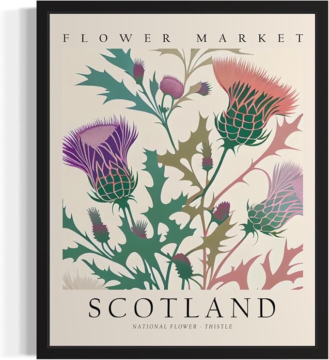Scotland, Thristle Unframed Art Print Poster, Flower Market Wall Art, Floral Artwork Decor for Bedroom, Kitchen, Bathroom, Livingroom Decoration 52 (Scotland, Thristle, 20"L x 16"W, Unframed)