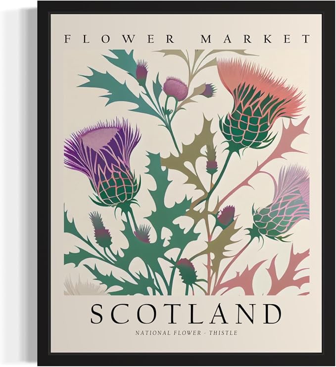 Scotland, Thristle Unframed Art Print Poster, Flower Market Wall Art, Floral Artwork Decor for Bedroom, Kitchen, Bathroom, Livingroom Decoration 52 (Scotland, Thristle, 36"L x 24"W, Unframed)