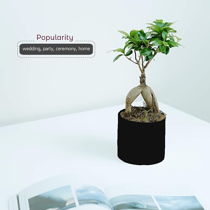 WGVI Matte Black Ceramic Cylinder Vase Width 6.5" Height 6", Flower Arrangements, Candle Holder, Terrarium Planter Pot, Storage Container Organizer, Pen Brush Holder, Modern Table top Decor, 6 Pc
