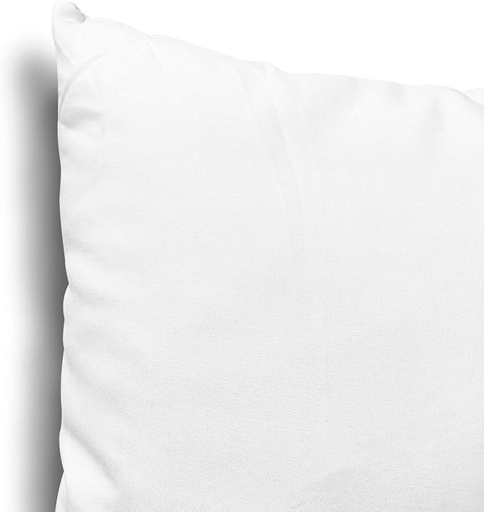 EDOW Throw Pillow Insert, Lightweight Soft Polyester Down Alternative Decorative Pillow, Sham Stuffer, Machine Washable. (White, 16x16)