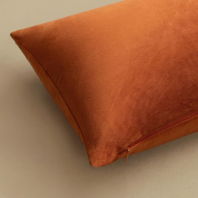 MIULEE Velvet Fall Throw Pillow Covers 16x16 Inch Pack of 2 Rust | Soft Solid Small Decorative Pillow Covers, Modern Luxury Home Decor, for Couch Chair Sofa Bedroom Livingroom Car