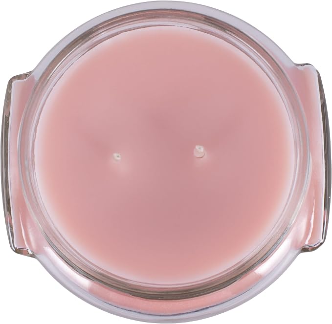Tyler Pastel Peach 2-Wick 11 Ounce Glass Aromatherapy Scented Jar Candle Pack of 4, Bless Your Heart