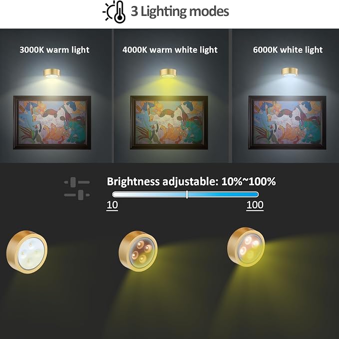 MIOBLUE 3Pack Picture Light Battery Operated Painting Lights, Wireless Magnetic Display Art Light with Remote Controls,Dimmable Timer Portrait Light for Art Frame Artworking,Wall Decor Puck Light