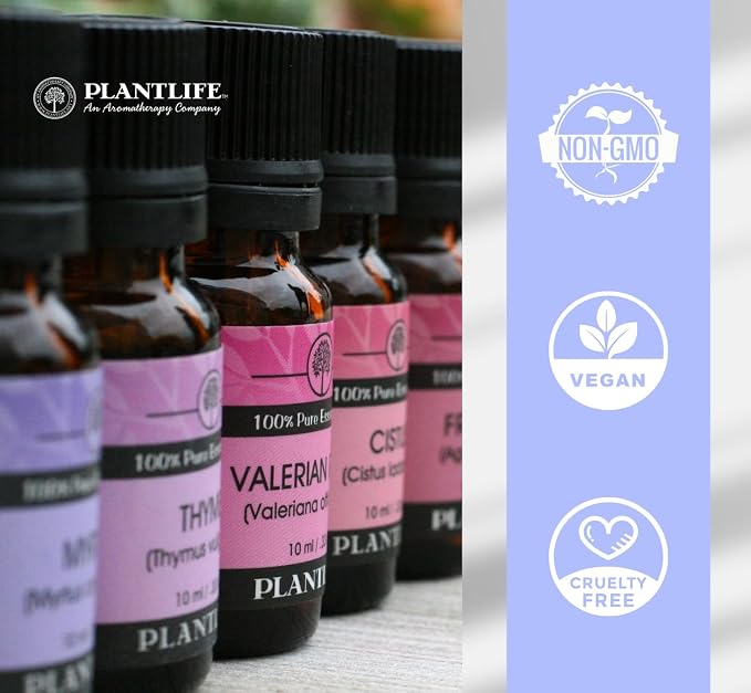 Plantlife Bergamot Aromatherapy Essential Oil - Straight from The Plant 100% Pure Therapeutic Grade - No Additives or Fillers - 30 ml