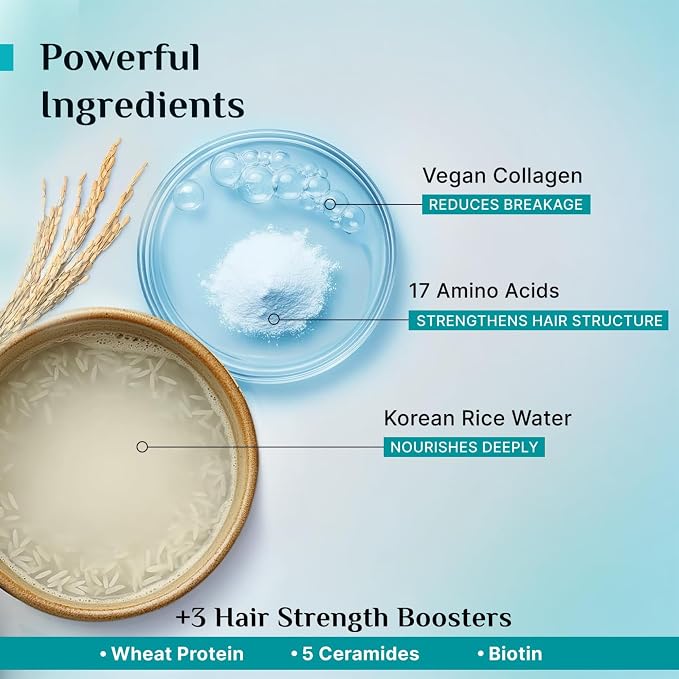 Pilgrim Advanced Damage Repair Shampoo | Hydrates & Strengthens Dry, Damaged Hair | Korean Rice Water, Collagen, 17 Amino Acids, Wheat Protein & 5 Ceramides | 13.53 Fl Oz (400ml)