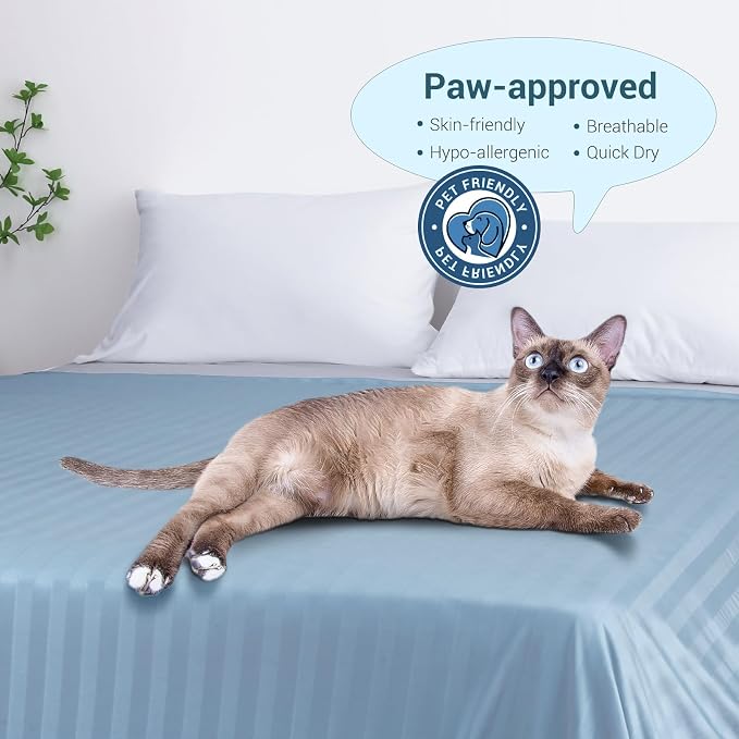 Elegear Double-Sided Cooling Blanket for Hot Sleepers, King, Arc-Chill 3.0 | Q-Max>0.5 Cooling Fabric, Absorbs Heat to Keep Body Cool, Breathable Summer Blankets for Night Sweats & Menopause, 108"x90"