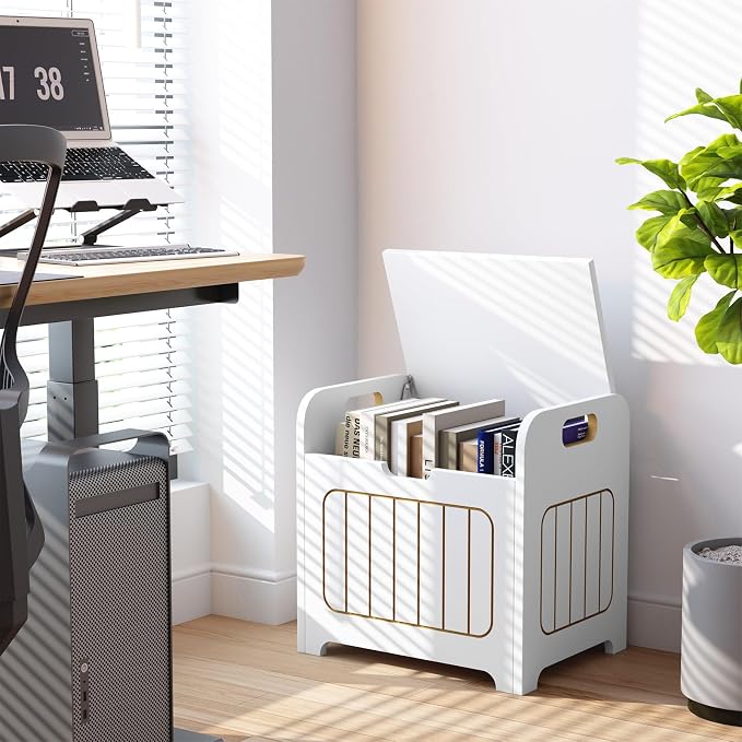 Aenuert Storage Chests, Small Cube Organizer Box,Wooden Entryway Storage (White, With Handle)