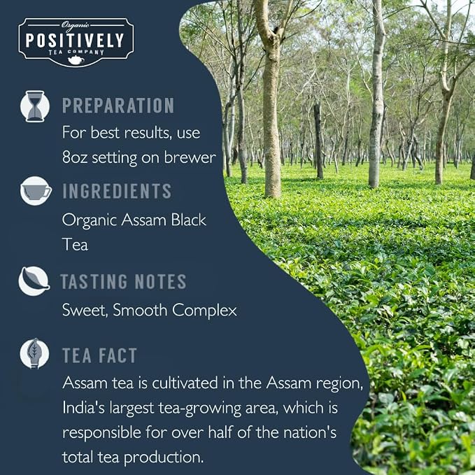 Organic Positively Tea Company, Assam Black Tea, K-Cup Compatible, 24 Pods