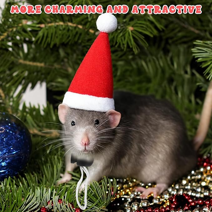 12pcs Christmas Pet Chicken Hat Scarf Set, Mini Adjustable Santa Hat Small Animal Hat Costume Set for Doll Hen Duck Hamster Guinea Pig Rabbit Kitty Puppy Parrot Lizard Xmas Cosplay Party Supply