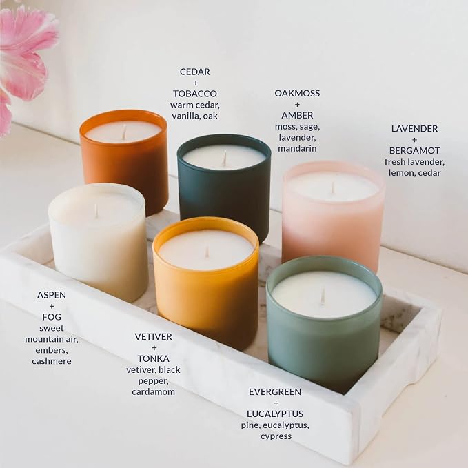 Calyan Wax Co. Dignity Series Scented Candle Gift Set - 6 Scented Candles - 35 Hour Burn - Luxury Clean Soy Wax Candles - Long Lasting Colorful Ceramic Jar Candle for Home - 5.3oz