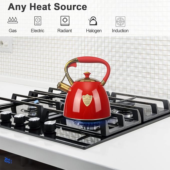 Tea Kettle -2.9 Quart Tea Kettles Stovetop Whistling Teapot Stainless Steel Tea Pots for Stove Top Whistle Tea Pot