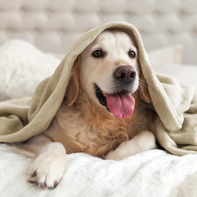 BEDELITE Fleece Blanket Soft Plush Throw for Couch Linen 50"x70" | Ultra Soft Fleece, Plush Microfiber, Lightweight Warmth, All Season Comfort, Fade Resistant, Machine Washable, Couch Sofa Bed