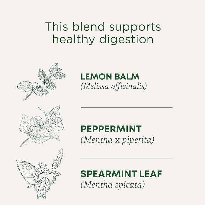 Traditional Medicinals Tea, Organic Triple Mint - Supports Healthy Digestion - Kosher, Non-GMO, Caffeine-Free - 16 Tea Bags