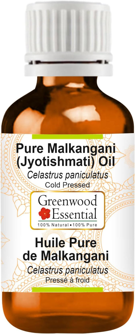 Greenwood Essential Malkangani (Jyotishmati) Oil (Celastrus paniculatus) | Cold Pressed | Natural | For Diluting Essential Oils | Skin & Massage | Unisex | 50ml (1.69 oz)