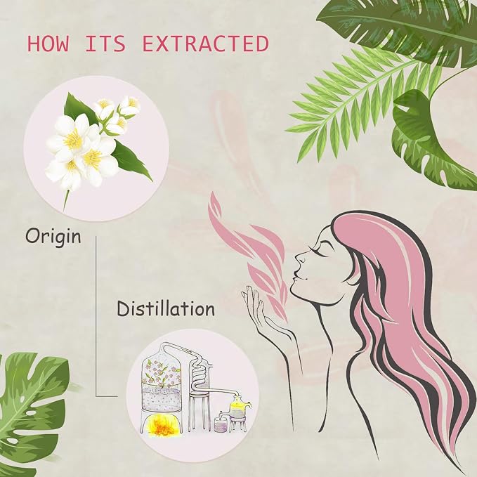 2-Pack Jasmine Essential Oil - 100% Pure Organic Natural Plant (Jasmium Officinale) Jasmine Oil for Diffuser, Aroma, Spa, Massage, Yoga, Perfume, 2x10ML