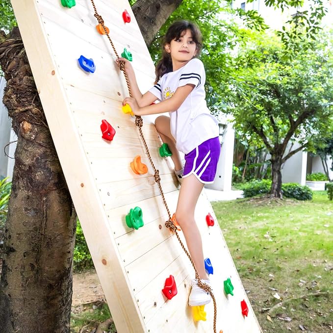 SEKKVY 25 Rock Climbing Holds With 6.56Ft Knotted Rope, Kids Holds for Indoor Outdoor Play Set, Wall Kit With Mounting Hardware, Multi-Color